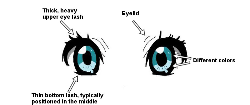 Illustration for article titled A Serious Look at Big Anime Eyes